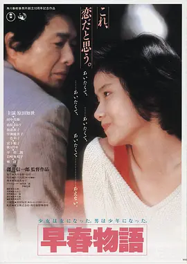 功夫女电影海报